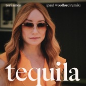 Tequila (Paul Woolford Remix / Extended) artwork