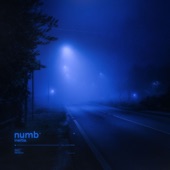 Numb artwork