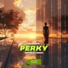 Perky (Anton By Remix) - Single