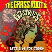 The Grass Roots - Let's Live for Today