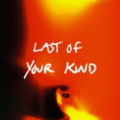 Last Of Your Kind artwork