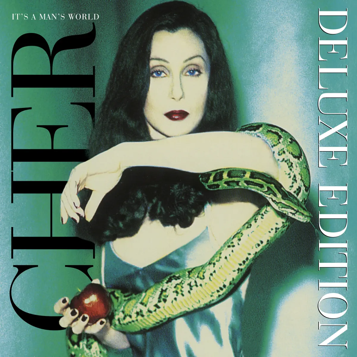 Cher - It's a Man's World (Deluxe Edition) [2023 Remaster] (2023) [iTunes Plus AAC M4A]-新房子