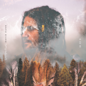 Perspectives (Deluxe) - David Dunn