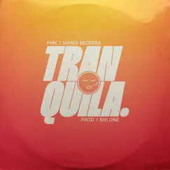 Tranquila - Single by FMK & Maria Becerra album reviews, ratings, credits