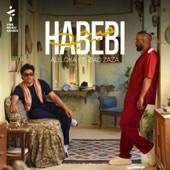 Habebi (feat. ZIAD ZAZA & Big Moe) artwork