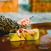 Pamela - Single