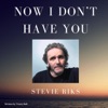 Now I Don't Have You - Single