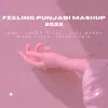 Feeling Punjabi Mashup 2022 (feat. Falak Shabir & Jass Manak) - Single album lyrics, reviews, download