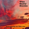 The Salty Rocks - Something In the Air