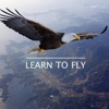 Learn to Fly - Single