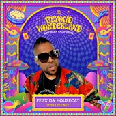 Felix Da Housecat at Beyond Wonderland, 2023 (DJ Mix) artwork