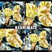 Reanimate artwork