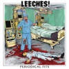 Periodical Fits - EP