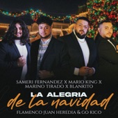 La Alegría de la Navidad (feat. Go Kico & Flamenco Juan Heredia) artwork