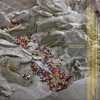 Where is the Acid? - Single