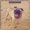 Happy Birthday - Single