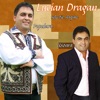 Lucian Drăgan-Șlagăre Muzică Ușoară și Populară