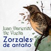 Zorzales de Antaño - Juan Darienzo - De Vuelta