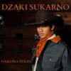 Darlin Texas - Single