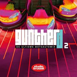 Gunther D - De Ultieme BotsAutoMix 2 - Various Artists Cover Art