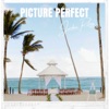 Picture Perfect - Single