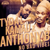 Tydal Kamau - No Bad Vibes