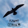 Flight - Single