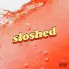 Sloshed (feat. Curtains) - Single album lyrics, reviews, download