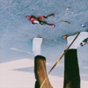 Wild Things - Single