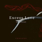 Excess Love (Rnb Cover) artwork
