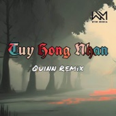 Túy Hồng Nhan (Remix) artwork