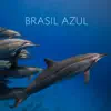 Stream & download Brasil Azul (Trilha Sonora Original do Filme)