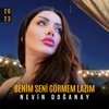 Benim Seni Görmem Lazım - Single