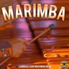 Cumbias Con Marimba Mix