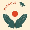 Miracle - Single, 2023