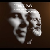 Černý Páv artwork