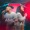 JÚNIOR SILVA/CATARINA SANTOS - AMOR REAL - GM