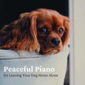 Peaceful Piano for Leaving Your Dog Home Alone artwork