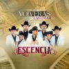 No Me Volverás A Lastimar - Single