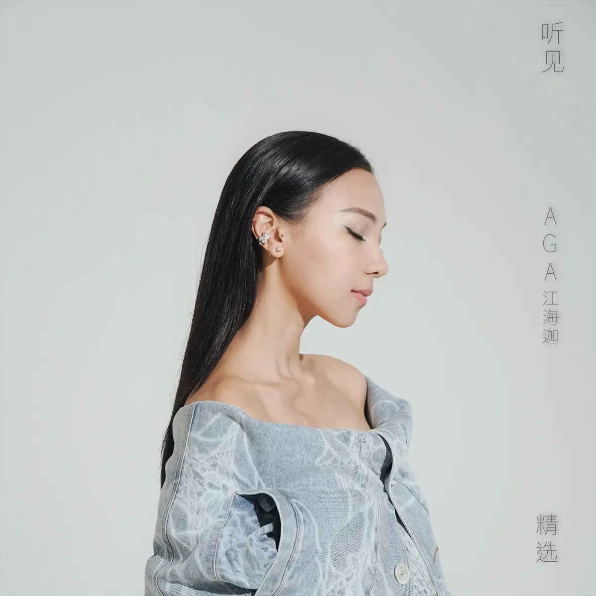 AGA - 听见AGA江海迦精选 (2023) [iTunes Match AAC M4A]-新房子