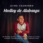 Medley de Alabanza: Oh Moradora de Sión / Remolineando / El Señor Es Mi Rey / Levántate / No Puedo Parar de Alabarte / Celebrad a Cristo artwork