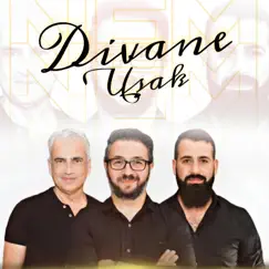 Divane Uşak - Single by NEM album reviews, ratings, credits