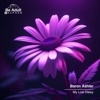 My Lost Daisy - Single
