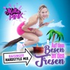 Auf dem Besen an den Tresen (Raisinger Hardstyle Remix) - Single