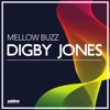 Mellow Buzz - Single
