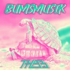 Bumsmusik - Single