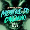 Stream & download Mestre do Caveirão (feat. DJ Teixeira)