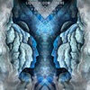 Pajaro Azul (Basher Toe Remix) - Single