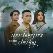 Sao Chẳng Nói Chia Tay artwork