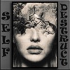 Self Destruct - Single